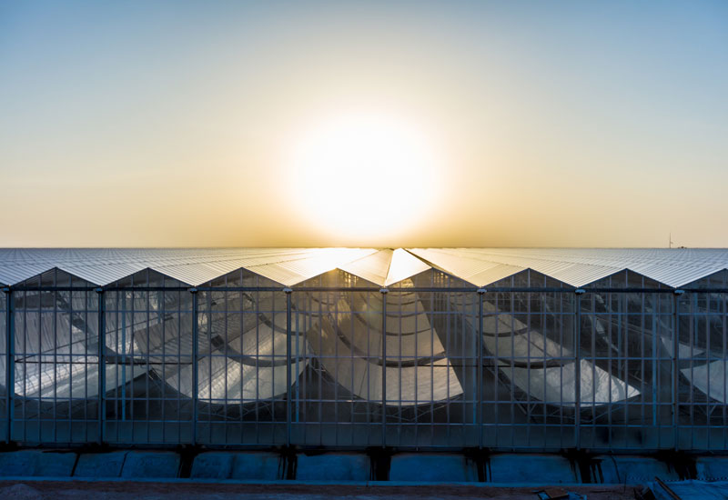 Miraah Solar Project
